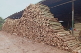 KHO GỖ PALLET DUY MINH KHO GỖ PALLET DUY MINH