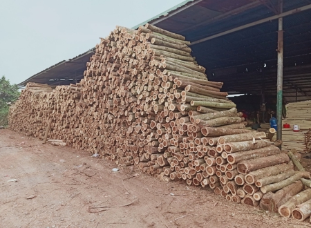 KHO GỖ PALLET DUY MINH