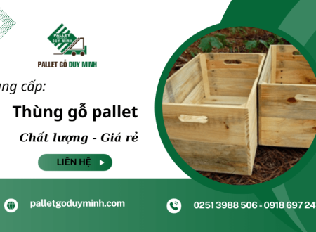 Cung cấp thùng gỗ pallet chắc chắn, giá rẻ tại Trảng Bom Đồng Nai