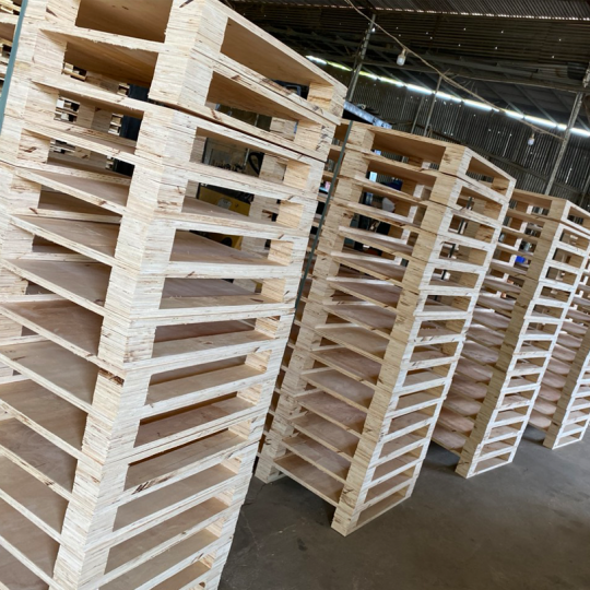 PALLET GỖ TRẢNG BOM